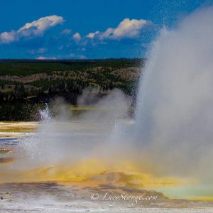 Yellowstone Geyser