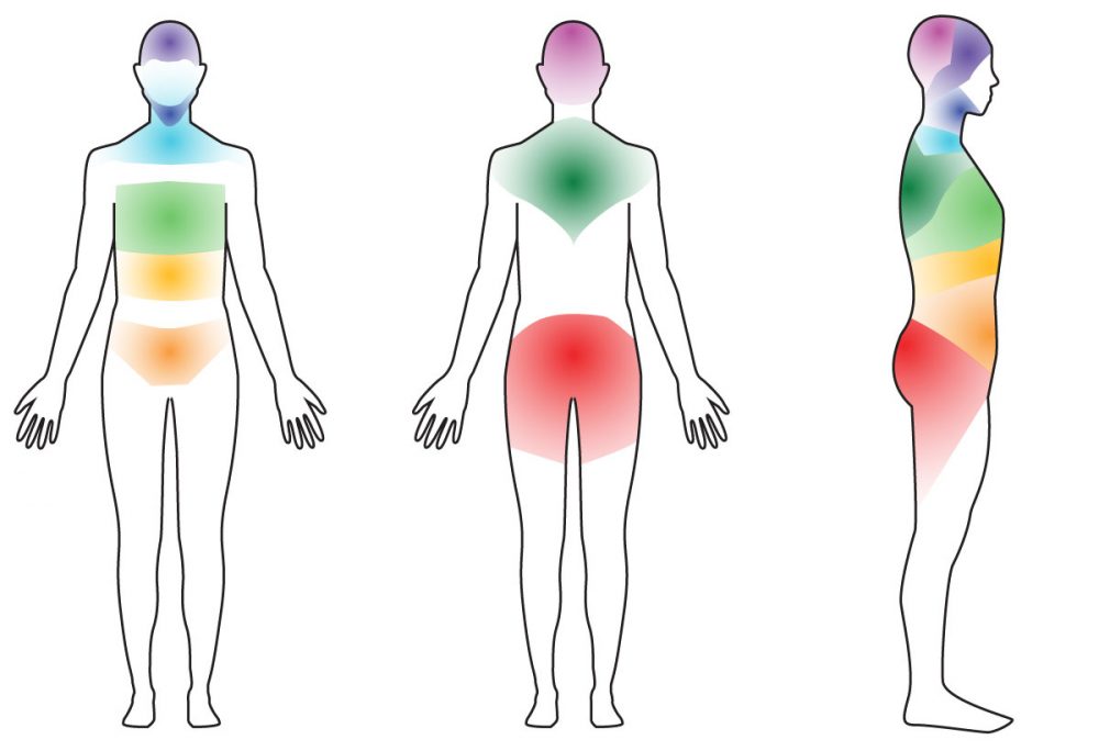 Body drawing with Body of 9 body areas marked