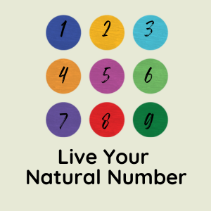 Live Your Natural Number Mini-course focused entirely on your Number course product